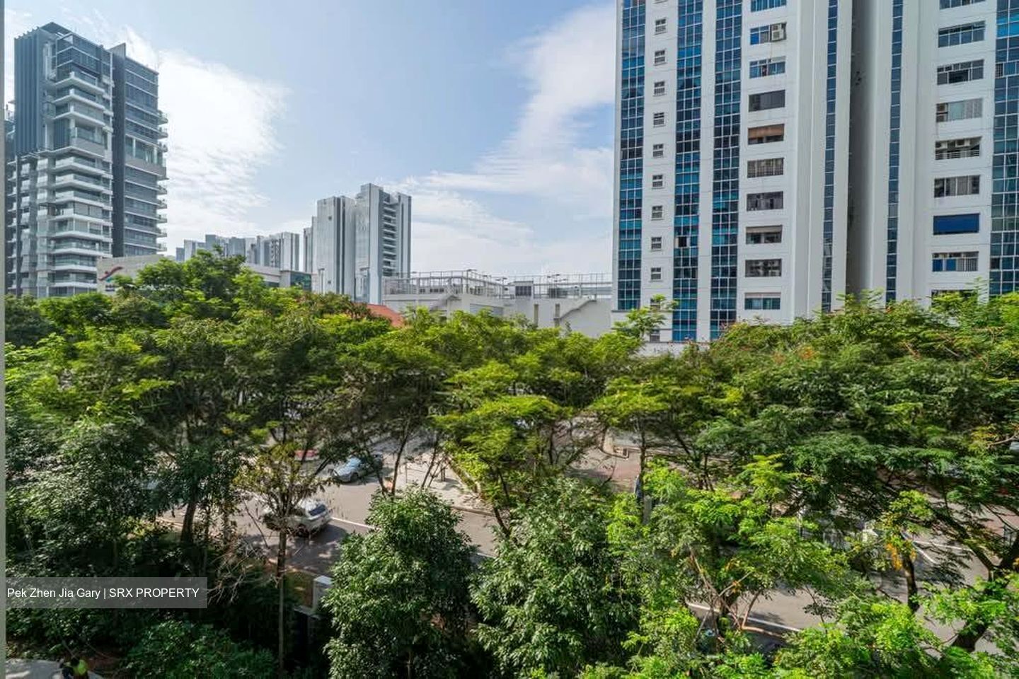 Amber Park (D15), Condominium #563311411